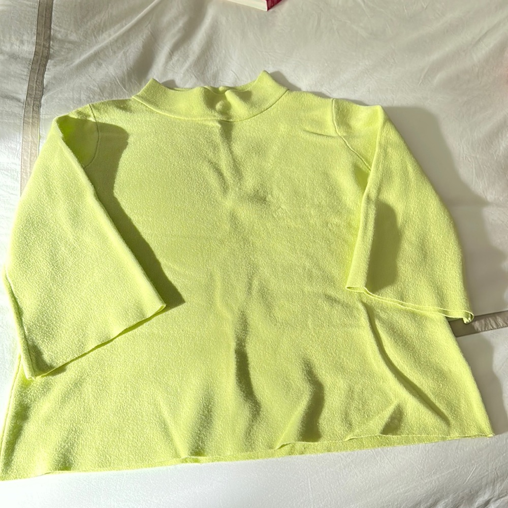 NWOT impeccable pig sweater